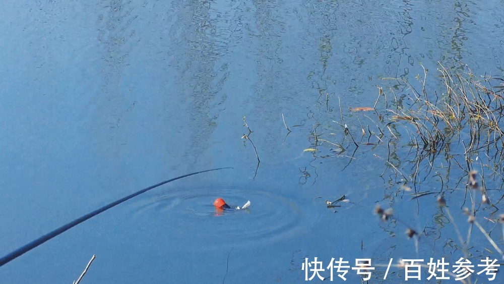 春季钓鲫鱼,什么钓位是首选?这6个钓位别错过,鱼获多多