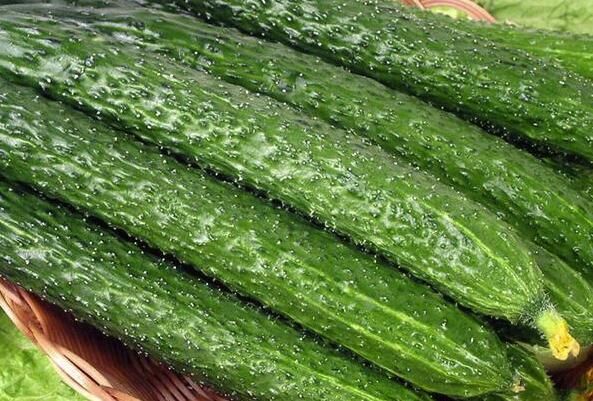 丝瓜|夏季吃瓜正当时,这6种瓜不妨经常吃