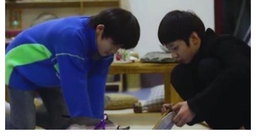 台风少年团|TNT团综来袭,全员合体节目名超搞笑,时隔两年再次“养猪”?