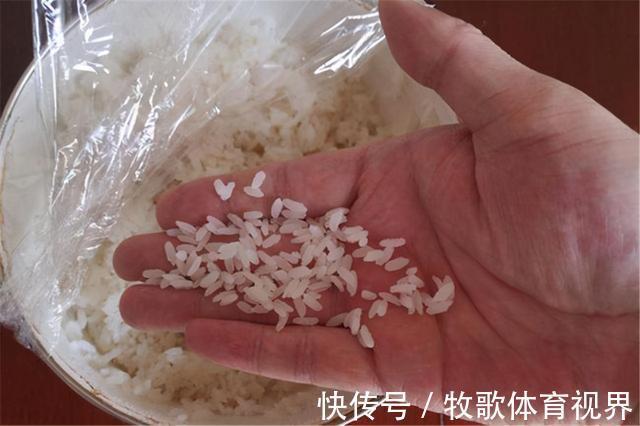 别看这东西便宜,简单处理专钓鲫鱼,你身边就有,别错过