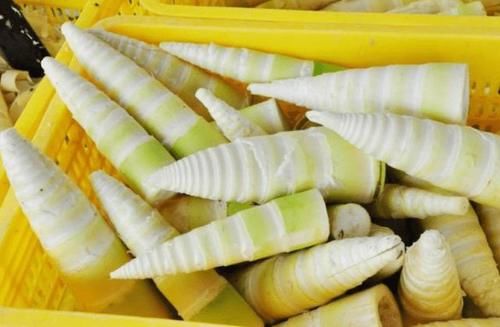 关节|尿酸高的人，要多吃蔬菜？提示：预防痛风发作，尽量少碰4种蔬菜