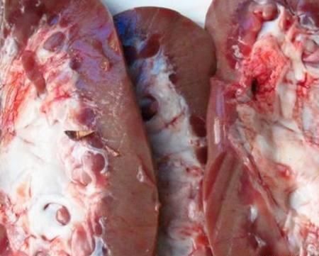  猪?腰子怎么做才好吃？