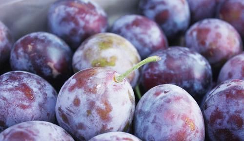 便秘的“天敌”终于找到了,坚持每天吃一点,排便通畅人舒服