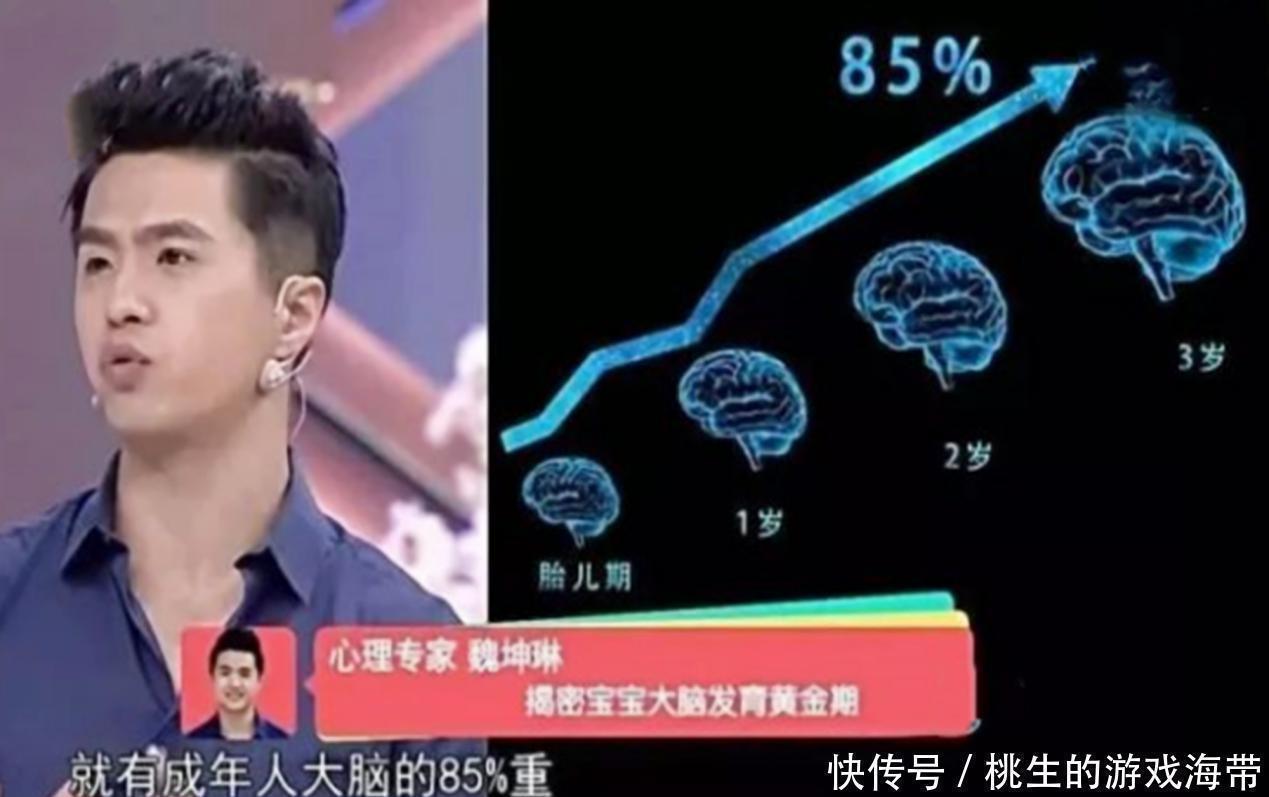 洞洞|3岁之前,是孩子脑力发育的“黄金期”,家长错过可没有后悔药