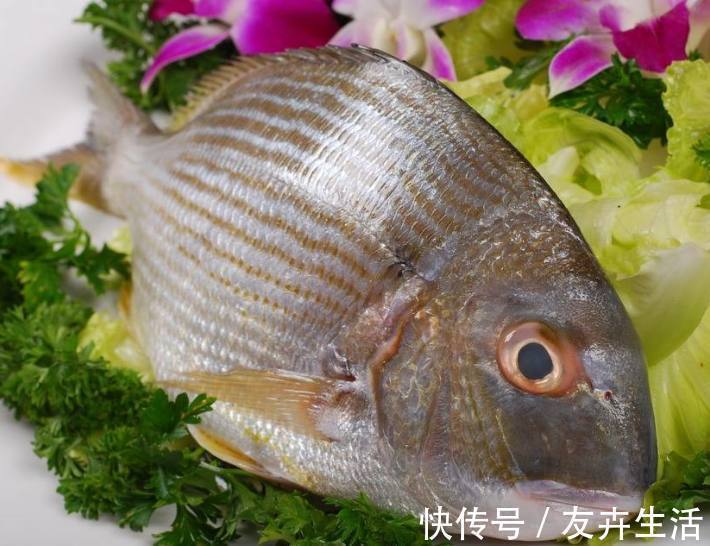 高血压|高血压的救星来了这几种碱性食物每天吃一次,血压蹭蹭往下降!