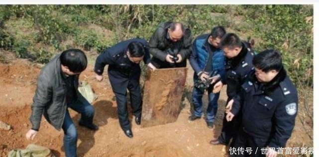 古墓|男子挖自家祖坟被抓,大喊:我不是盗墓贼,专家:我不听,你就是