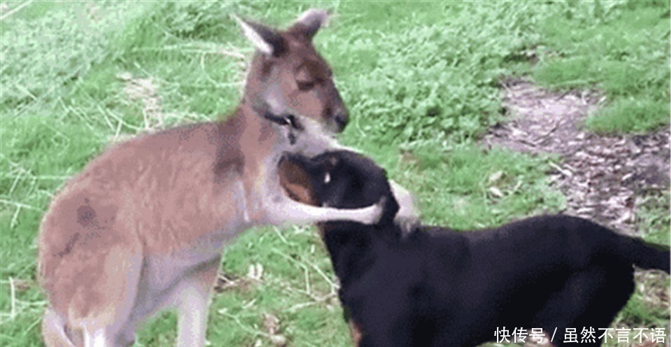  帽子|为什么常说“男怕摸头, 女怕摸腰” 答案原来是这样！