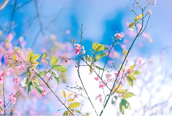 兼职|60岁丁克阿姨被问将来谁给养老?老人坦言:谁的晚年不是风雨飘摇