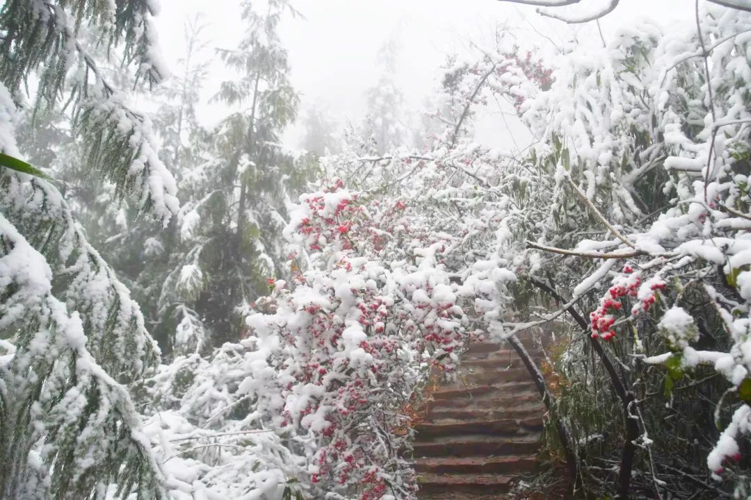 冰雪|绝美雪景！古蔺邀请你来体验“冰雪奇缘”