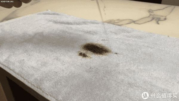 布艺|家有毛孩子，如何彻底清扫卫生？东菱布艺清洁机带来全新解决方案