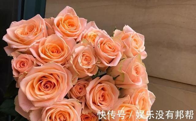 你粉|比较受欢迎的10款进口玫瑰花,一直都供不应求,你粉了吗?