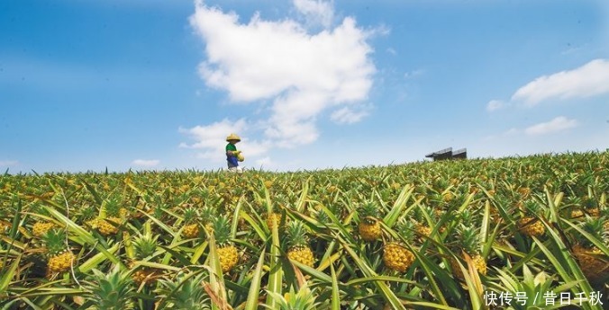  匪首|此人打伤匪首后逃出国，意外被老外封王，还顺便带回一物！