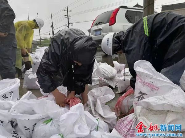 陆埠镇政府|抗台抢险！五湖四海兄弟一条心