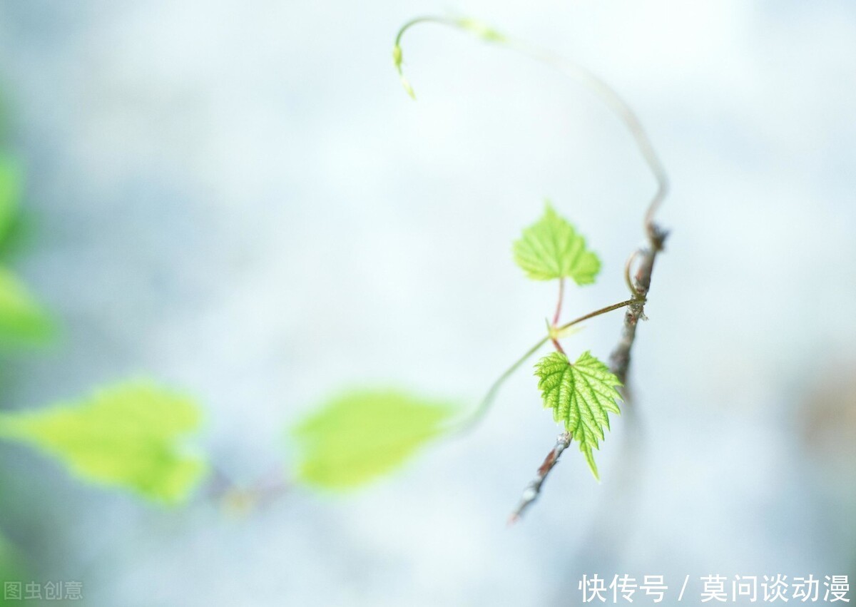 小清新，爱你没商量，让我们再次相约海边！