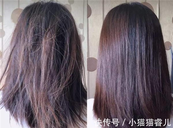 头皮|天天洗头到底好不好洗头经常犯这3个错误,怪不得头发越掉越多