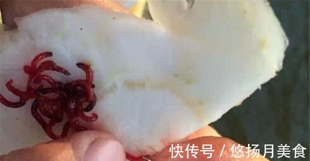 窝点|冬钓鲫鱼4字要诀，“吃”透了轻松钓爆护，你学不学！