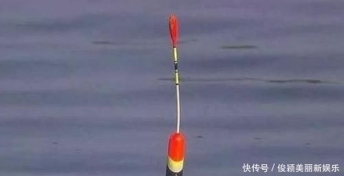 浮漂|野钓发现3种信号,说明“大家伙”来了,万万不要胡乱提竿