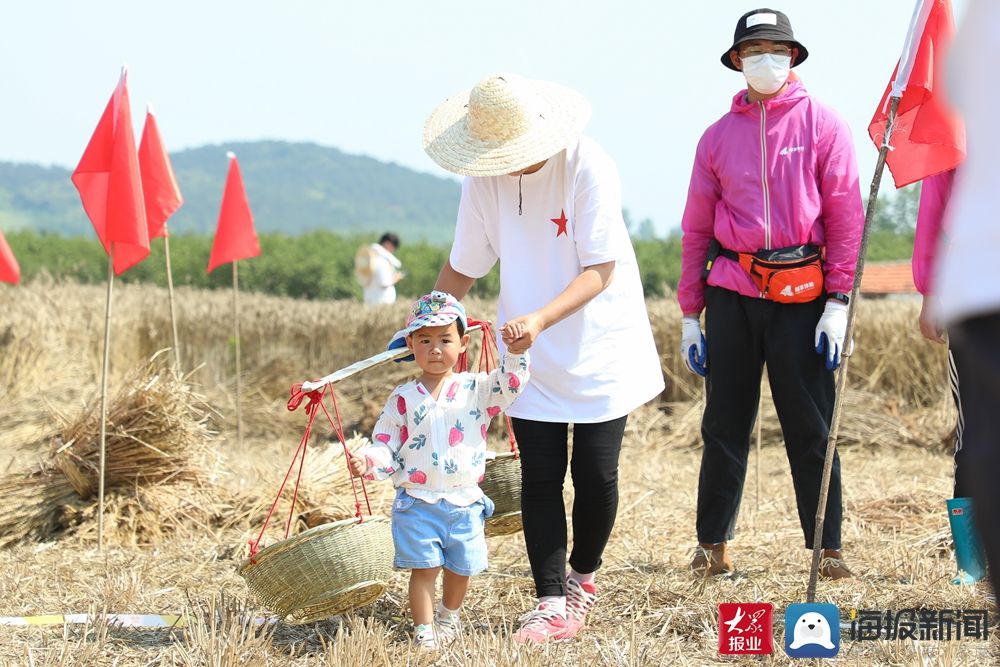 美丽乡村游 推动乡村旅游产业提质升级!西海岸第二届“美丽乡村游”第三站走进张家楼街道和大村镇