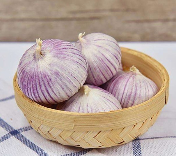 大蒜放耳朵里效果太好了,关于大蒜放耳朵里的