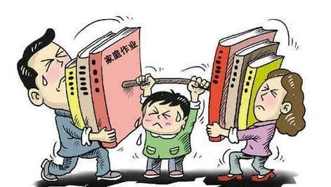 解决|郑强：超纲超前教学是揠苗助长，关键谁来解决这个问题