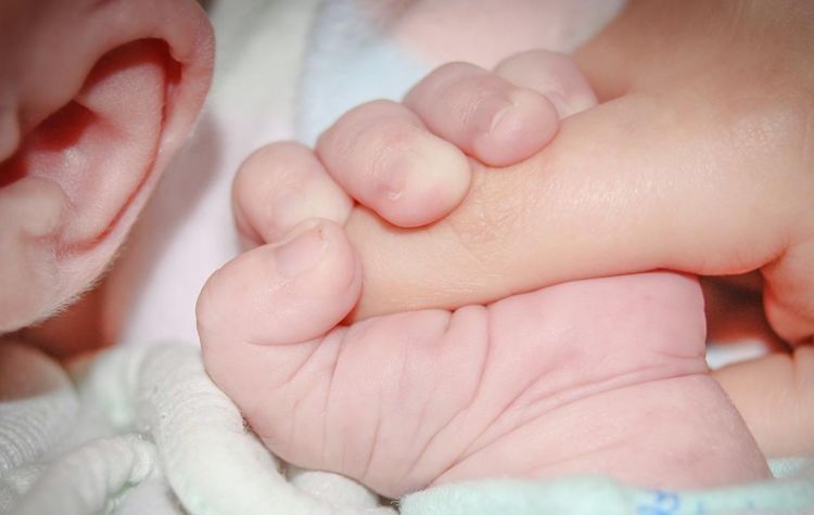 母爱|母乳本来的面目：显微镜下千倍放大，让人感叹母爱的伟大