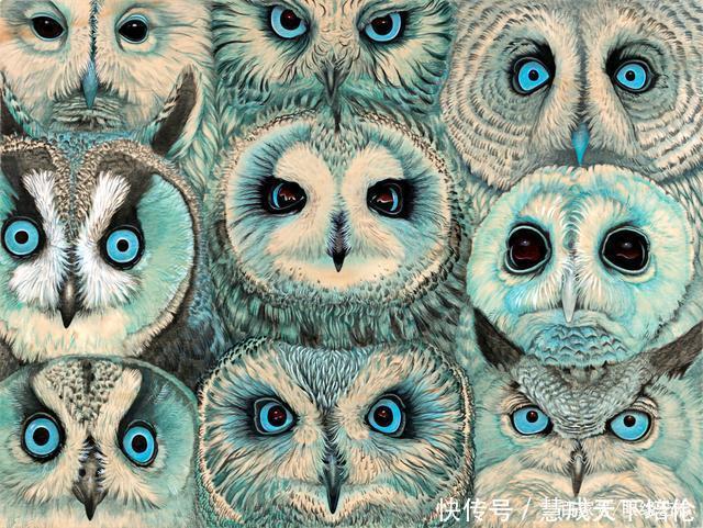 感恩|博齐奇的自然幻境异想天开的科学艺术,感恩生命的生物美学