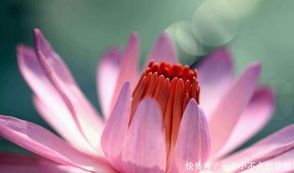 做人,别干4种“傻事”,方为处世的“高手”