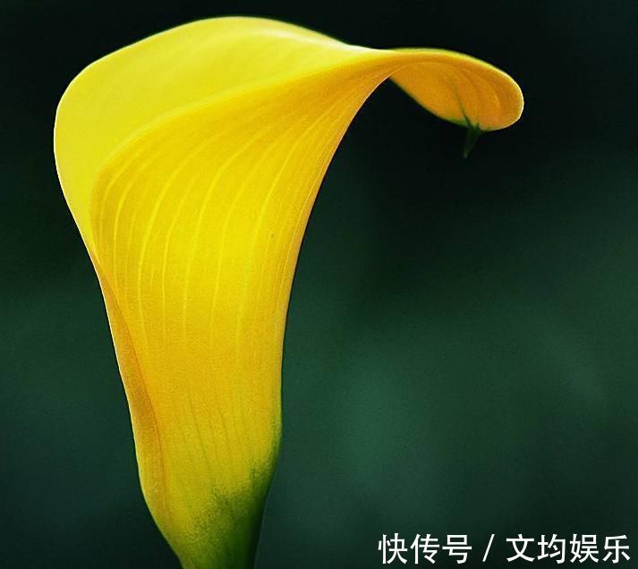 小善举|出生在这三大农历月份的人,心地善良佛缘深厚,一生注定能富贵