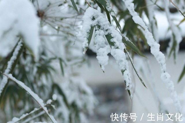 投资理财|未来一年有“好运”如期而至，和气生财，如鱼得水的3个生肖！