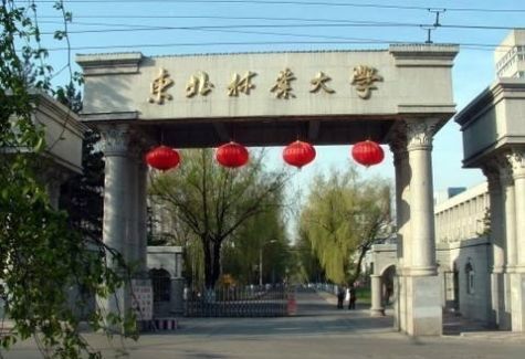 各有所长|全国三所顶级林业大学, 两所211, 均是双一流, 各有所长