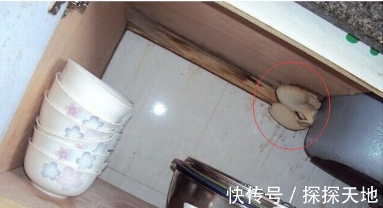 装修|后悔装早了，厨房装修材质没有选对，几年后又得重装