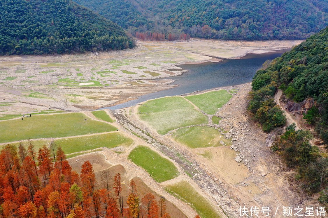 红杉林|水库水杉红，风光之美，缺水之忧