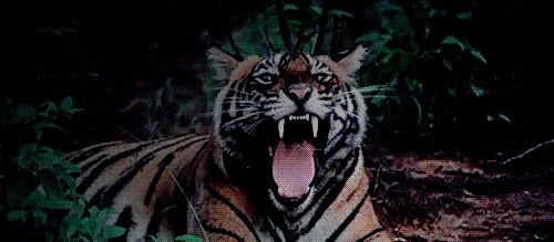 遇上|历史遇上水浒潘金莲是大家闺秀,武松打的是人,武大郎是型男