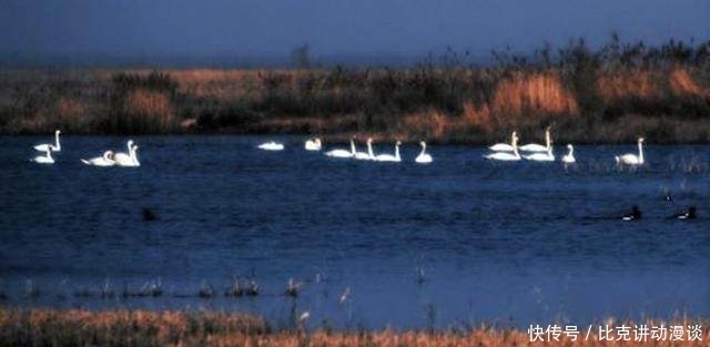 一片“海”下竟然埋有两座城,现今,这片“海”即将要消失了
