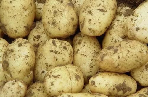 黑芝麻|高血压就怕缺钾?若长期服用降压药,建议3种高钾食物常吃