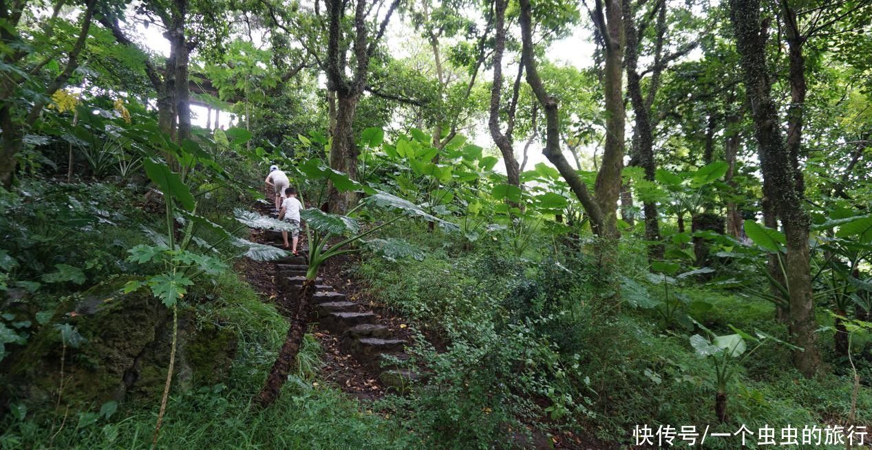 雷琼海口火山群世界地质公园，热带城市火山文化的博览园