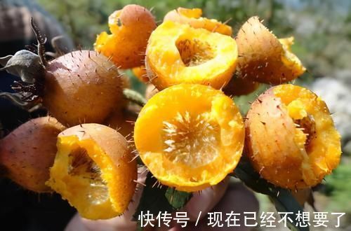 养颜|冬天要坚持多吃3种食物,排毒养颜、改善体质,早吃早好!