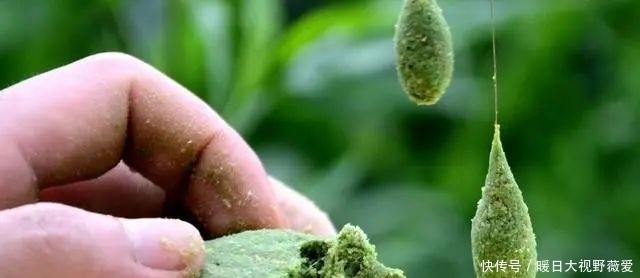 钓鱼|夏天钓鱼,这3件事能做好,见漂动就是大鱼