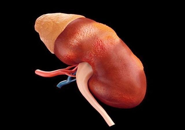 人体|男人肾好,睡前很少做5件事,尤其是第4个