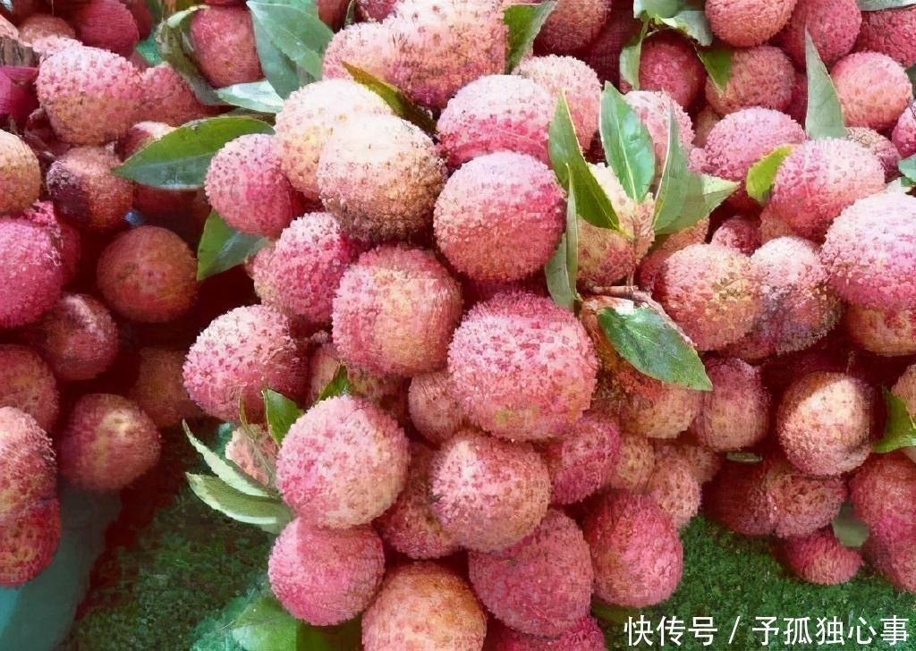 对身体最好的3种食物,美容养生、滋润身体,好吃又健康