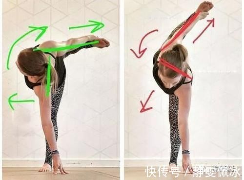 胸腔|为什么瑜伽练习不能照葫芦画瓢?看过这些图你就懂了…