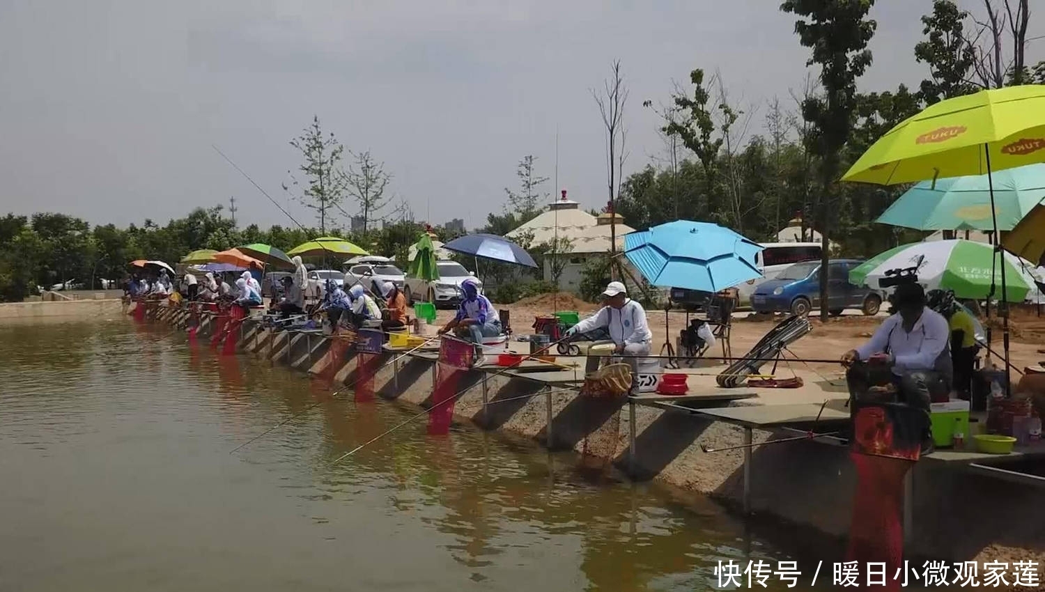 一号位|怎样找到鱼道？寻找鱼道的方法，寻找鱼类觅食路线的技巧