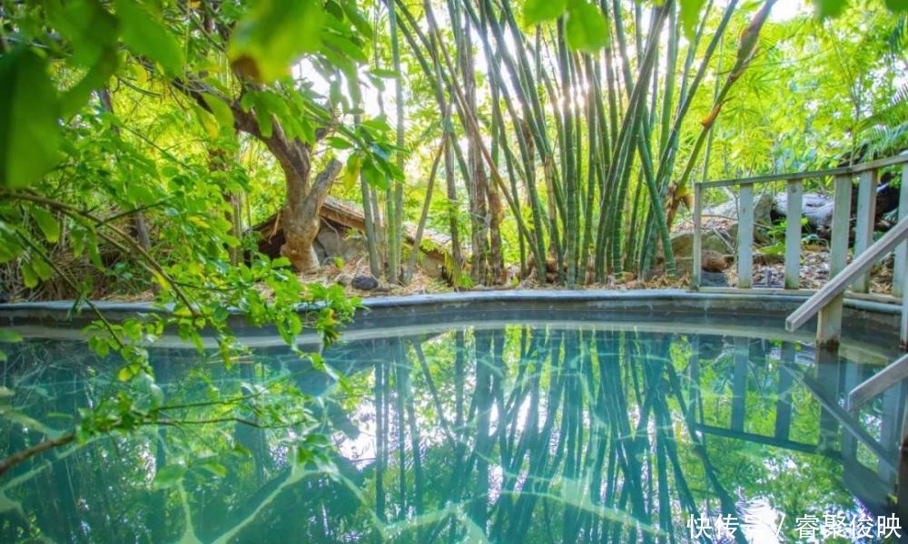 刘笑冬|与腾冲温泉作伴,尽享冬日温暖时光