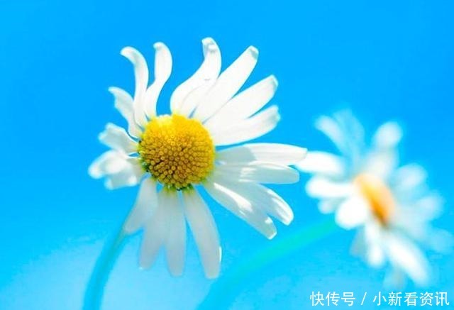 岁月|岁月匆匆又是一年,感恩有你