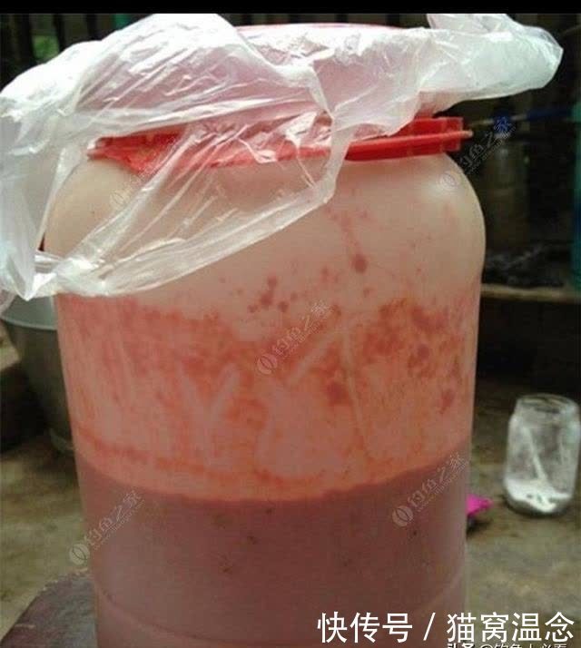 浅谈个人窝料制作