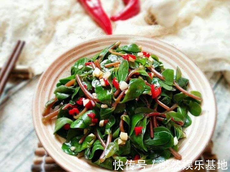 野草|天然胰岛素被找到,隔几天吃一次,降血糖血脂,可惜很多人当野草