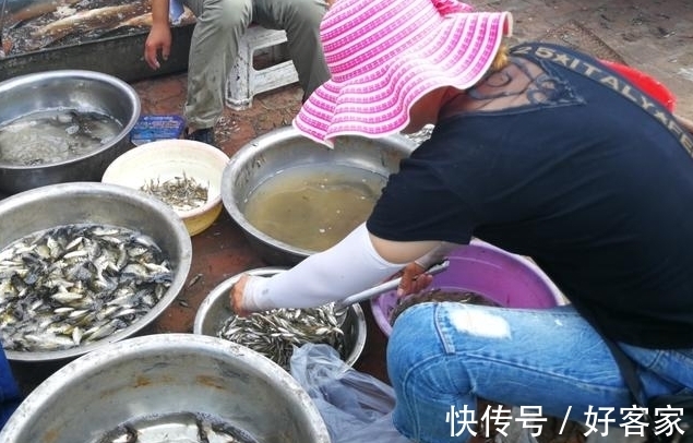 小夫妻|小夫妻顶烈日卖鱼不容易,很多人见到车上的设备后却放弃买鱼!