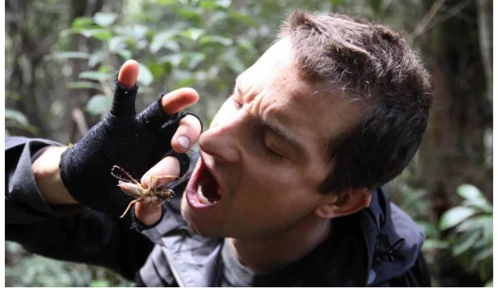 腸道感染|當(dāng)年“什么都能吃的”貝爺，曾經(jīng)紅極一時，為何突然消失了？