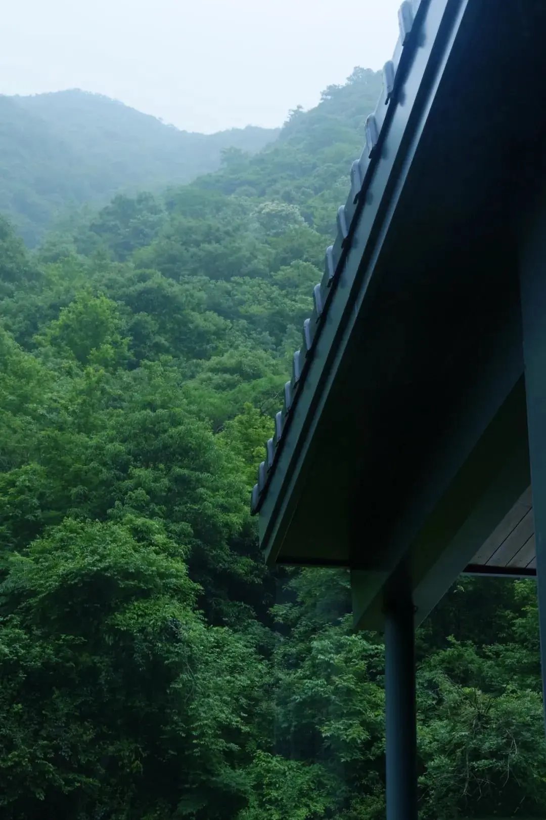 可行道|不雕不琢，越简单越平和