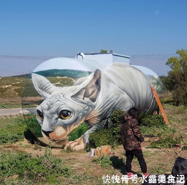 油罐@令人惊叹的3D绘画,一个油罐凭空消失了,路过的动物还以为是真的